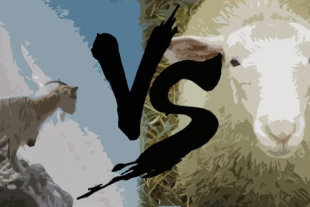 Αρνί VS κατσίκι: Τι να επιλέξω;